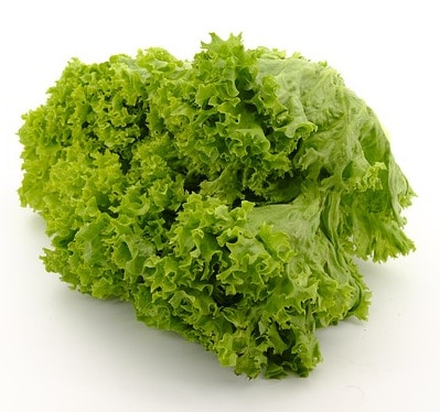 lettuce