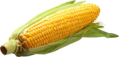 sweetcorn