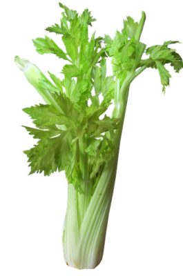 celery