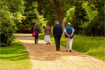 people walking in park