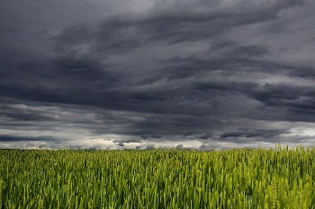 Dark clouds