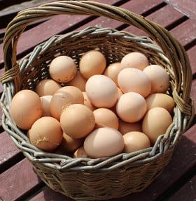 Eggs in basket