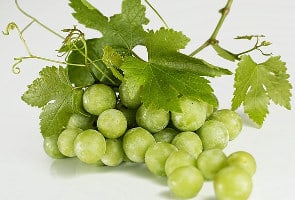 grapes