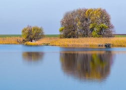 lake with still water